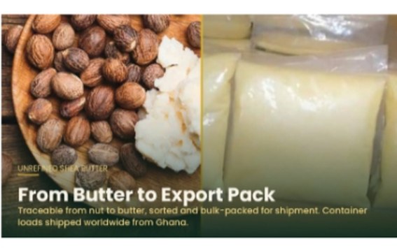From butter to export pack — shea butter sorted and bulk-packed for shipment